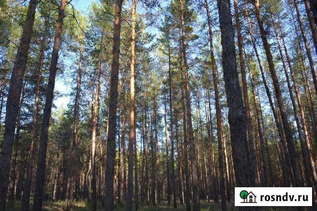 Участок ИЖС 220 сот. на продажу в Зеленогорске Ленинградской области Зеленогорск - изображение 1