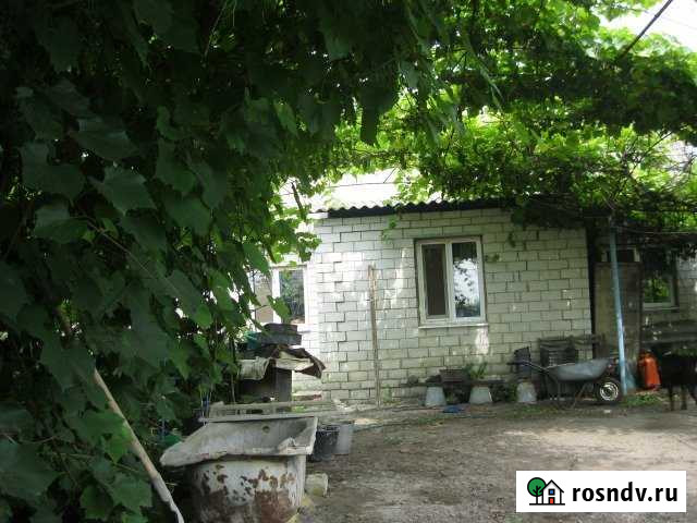 Дом 54 м² на участке 20.3 сот. на продажу в Вейделевке Вейделевка - изображение 1