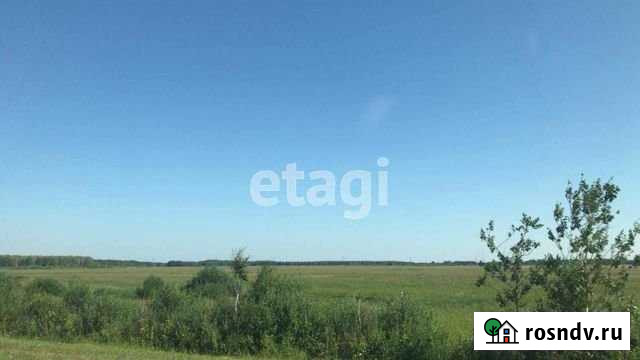 Участок ИЖС 15 сот. на продажу в Каскаре Каскара - изображение 1