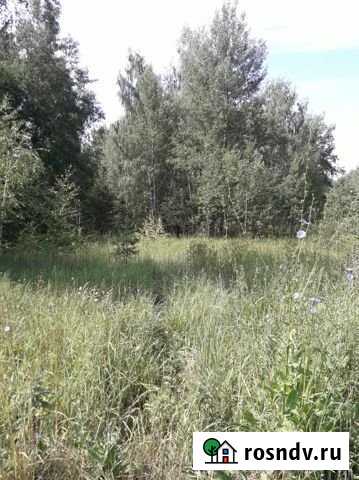 Участок СНТ, ДНП 25 сот. на продажу в Собинке Собинка - изображение 1