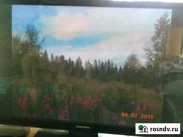 Участок СНТ, ДНП 200 сот. на продажу в Новоильинском Новоильинский - изображение 1