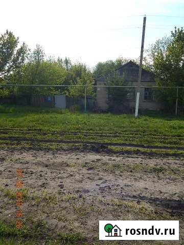 Дом 50.6 м² на участке 30.2 сот. на продажу в Репьевке Репьевка - изображение 1