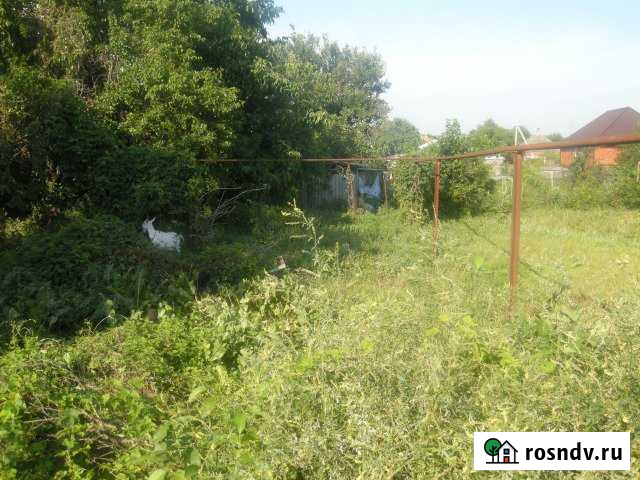 Участок ИЖС 24 сот. на продажу в Новотитаровской Новотитаровская - изображение 1