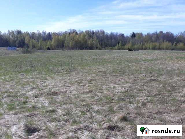 Участок СНТ, ДНП 126 сот. на продажу в Васкелово Васкелово - изображение 1