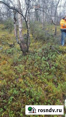 Участок ИЖС 15 сот. на продажу в Мурманске Мурманск - изображение 1