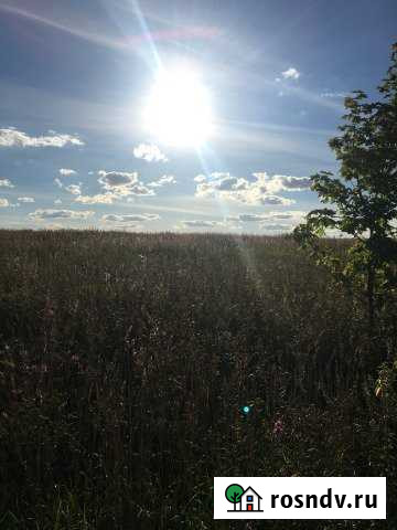 Участок СНТ, ДНП 10 сот. на продажу в Сергиевом Посаде Сергиев Посад - изображение 1