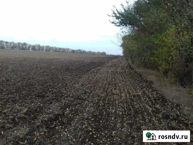 Участок СНТ, ДНП 380 сот. на продажу в Гвардейском Гвардейское - изображение 1