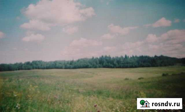 Участок СНТ, ДНП 444 сот. на продажу в Санкт-Петербурге Санкт-Петербург - изображение 1