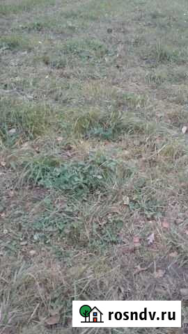 Участок ИЖС 6 сот. на продажу в Старом Городке Старый Городок - изображение 1