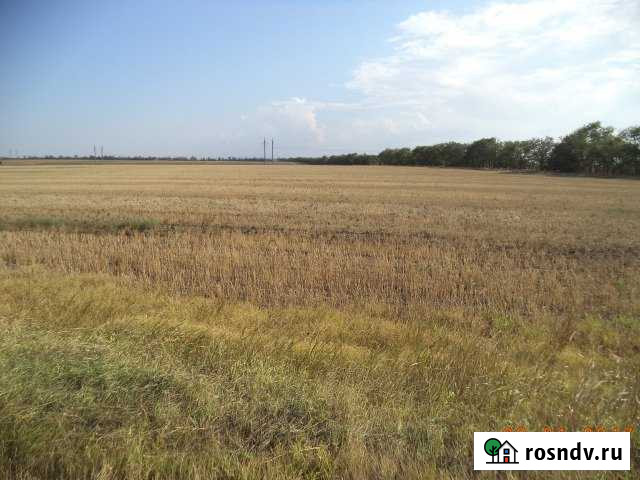 Участок СНТ, ДНП 704 сот. на продажу в Красногвардейском Республики Крым Красногвардейское - изображение 1