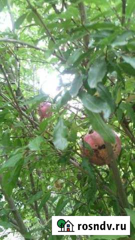 Участок ИЖС 4 сот. на продажу в Щёлкино Щёлкино - изображение 1