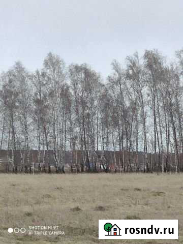 Участок СНТ, ДНП 26 сот. на продажу в Челябинске Челябинск - изображение 1