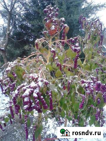 Дача 22 м² на участке 6 сот. на продажу в Краснодаре Краснодар - изображение 1