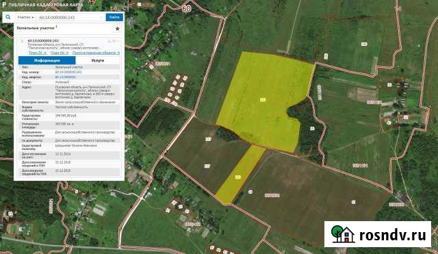Участок СНТ, ДНП 200 сот. на продажу в Палкино Палкино - изображение 1