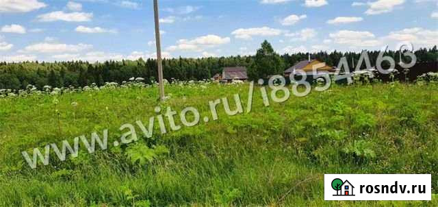 Участок СНТ, ДНП 250 сот. на продажу в Софрино Софрино - изображение 1