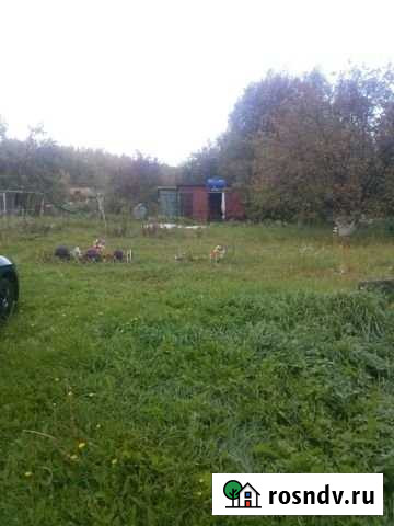 Дача 20 м² на участке 10 сот. на продажу в Боголюбово Боголюбово - изображение 1