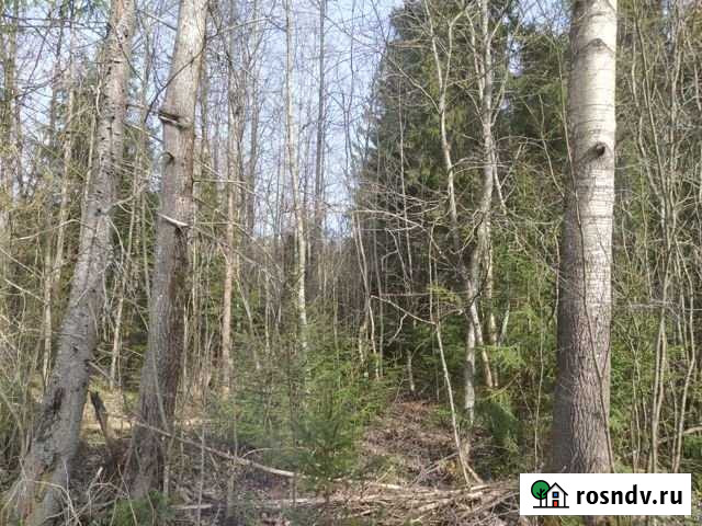 Участок ИЖС 15 сот. на продажу в Рощино Ленинградской области Рощино - изображение 1