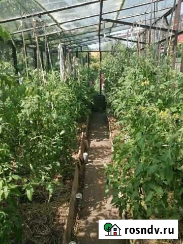 Дача 40 м² на участке 5 сот. на продажу в Набережных Челнах Набережные Челны - изображение 1