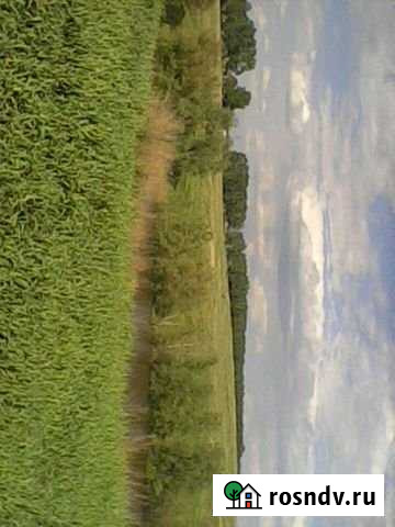 Участок ИЖС 20 сот. на продажу в Кормиловке Кормиловка - изображение 1