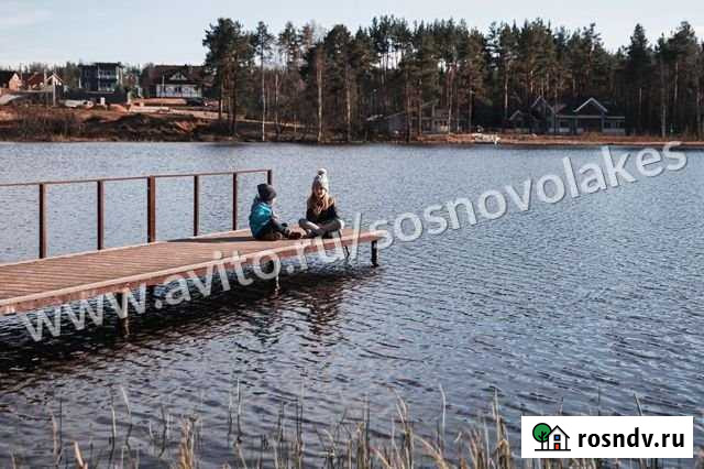 Участок СНТ, ДНП 11 сот. на продажу в Сосново Сосново - изображение 1