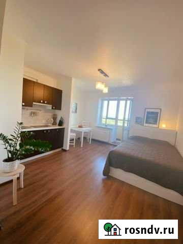 Квартира-студия, 25 м², 9/17 эт. на продажу в Буграх Бугры - изображение 1