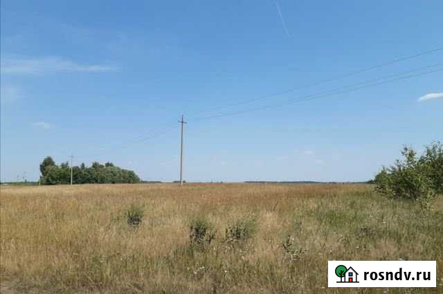 Участок СНТ, ДНП 40000 сот. на продажу в Нязепетровске Нязепетровск - изображение 1