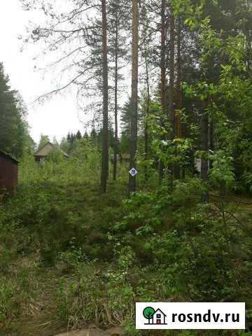 Участок СНТ, ДНП 10 сот. на продажу в Коммунаре Коммунар - изображение 1