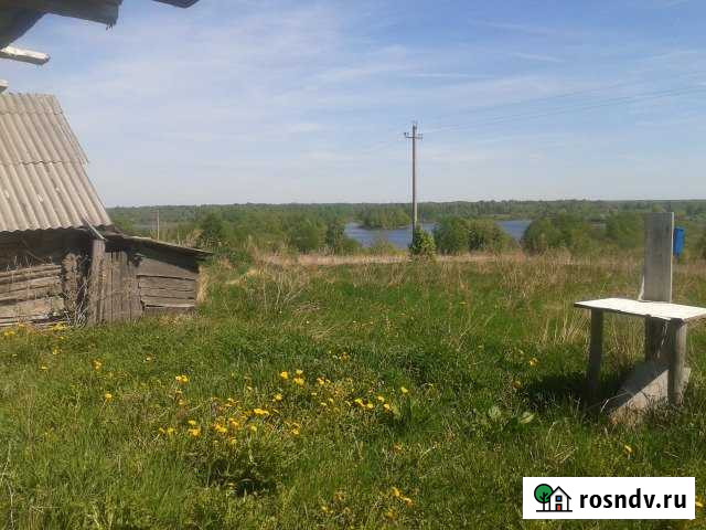 Участок ИЖС 54 сот. на продажу в Усвятах Усвяты - изображение 1