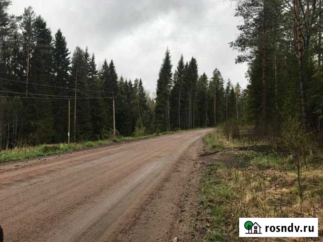 Участок СНТ, ДНП 9 сот. на продажу в Выборге Выборг - изображение 1