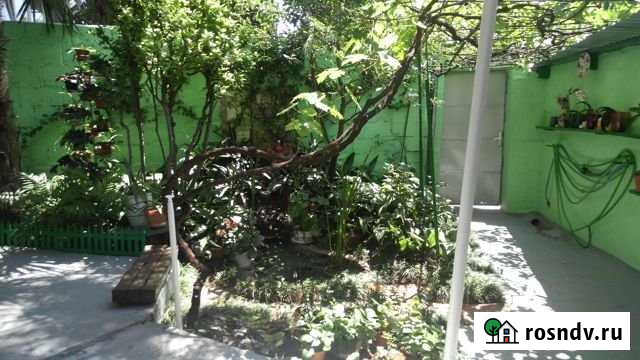 Комната 16 м² в 4-ком. кв., 1/1 эт. в аренду посуточно в Ялте Ялта - изображение 1