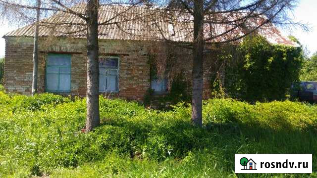 Дом 44 м² на участке 37 сот. на продажу в Орлово Орлово - изображение 1