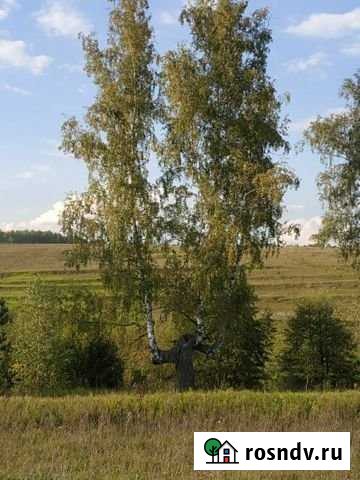 Участок СНТ, ДНП 14 сот. на продажу в Заокском Заокский - изображение 1