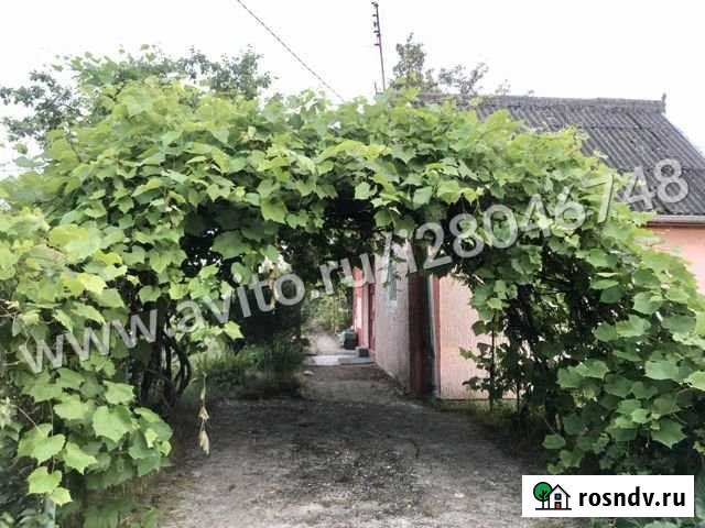 Дом 20 м² на участке 4.5 сот. на продажу в Калининграде Калининград - изображение 1