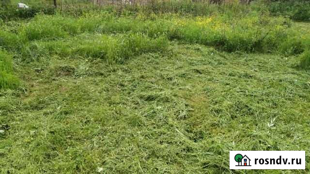 Дача 24 м² на участке 6 сот. на продажу в Сосногорске Сосногорск - изображение 1