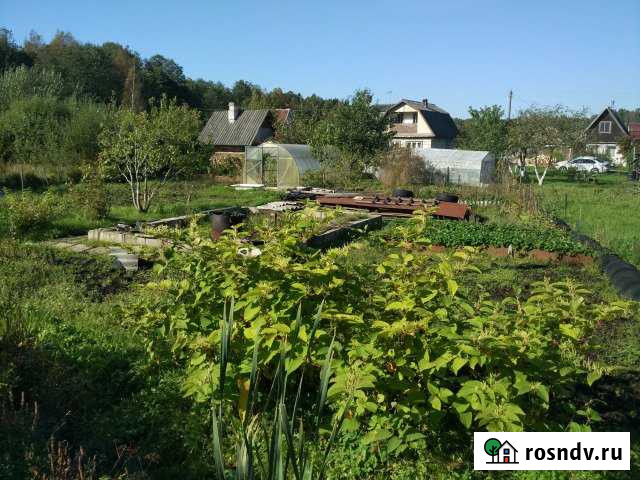 Участок СНТ, ДНП 6 сот. на продажу в Кингисеппе Кингисепп - изображение 1