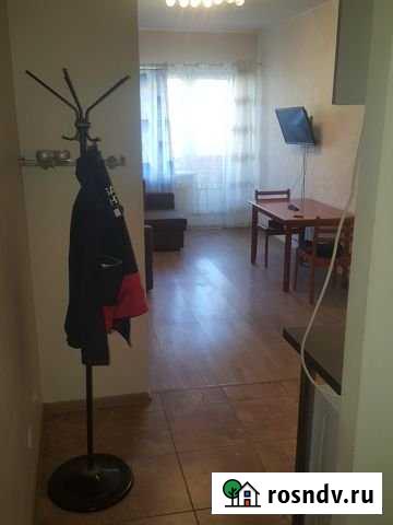 Квартира-студия, 25 м², 3/9 эт. в аренду на длительный срок в Санкт-Петербурге Санкт-Петербург - изображение 1