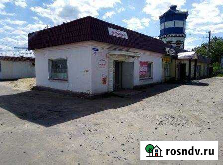 Торговое помещение, 110.3 кв.м. Чаадаевка - изображение 1
