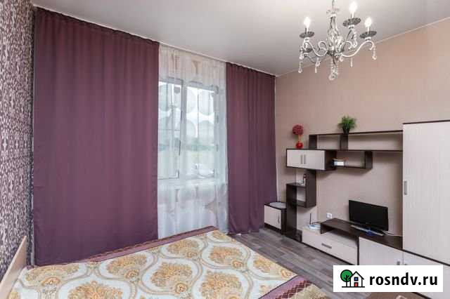 Квартира-студия, 29 м², 1/12 эт. в аренду посуточно в Янино-1 Янино-1 - изображение 1