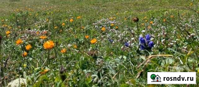 Участок ИЖС 20 сот. на продажу в Песках Московской области Пески - изображение 1