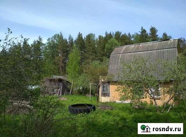 Дача 24 м² на участке 5.7 сот. на продажу в Пскове Псков - изображение 1