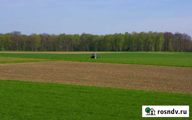 Участок СНТ, ДНП 390 сот. на продажу в Малино Малино - изображение 1