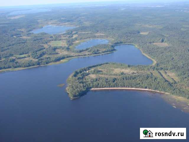 Участок СНТ, ДНП 315 сот. на продажу в Глебычево Глебычево - изображение 1