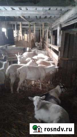 Продам производственное помещение, 5000 кв.м. Красноуфимск - изображение 1