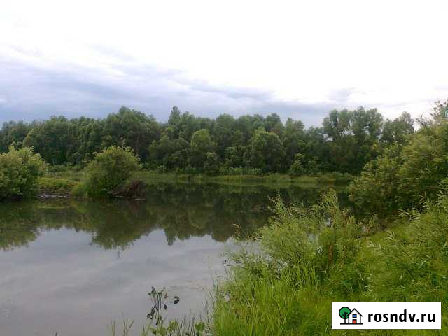 Участок СНТ, ДНП 400 сот. на продажу в Бийске Бийск - изображение 1