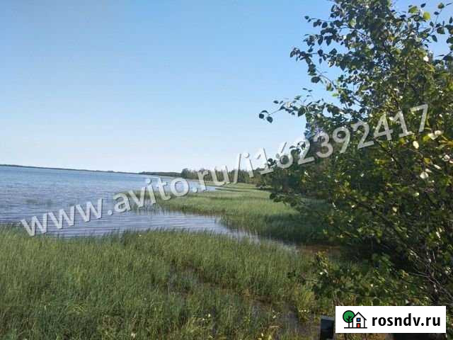 Участок СНТ, ДНП 200 сот. на продажу в Сургуте Ханты-Мансийского АО Сургут - изображение 1