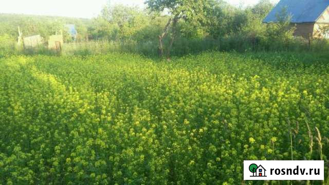 Участок СНТ, ДНП 4 сот. на продажу в Чебоксарах Чебоксары - изображение 1