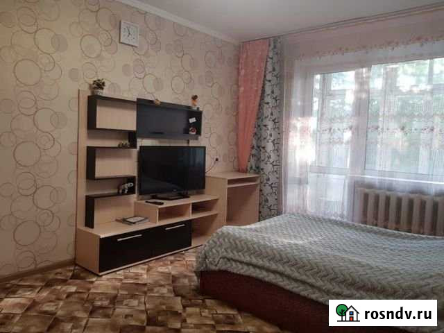 1-комнатная квартира, 33 м², 1/5 эт. в аренду посуточно в Елизово Елизово - изображение 1