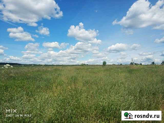 Участок СНТ, ДНП 500 сот. на продажу в Красноармейске Московской области Красноармейск - изображение 1