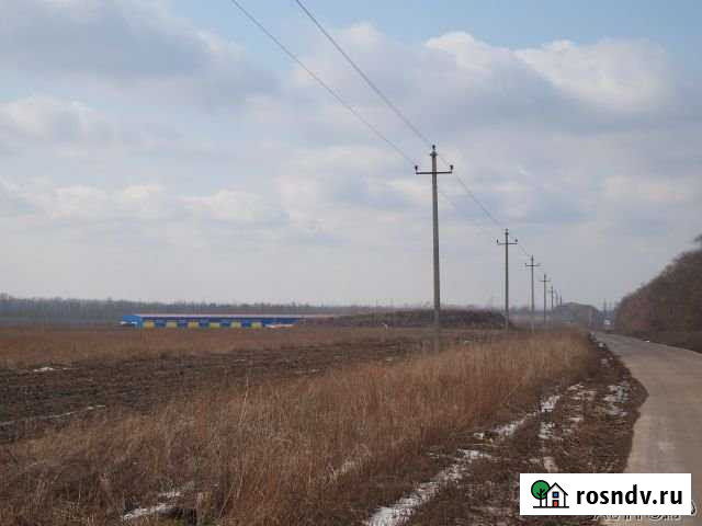 Участок промназначения 100 сот. на продажу в Новой Усмани Новая Усмань - изображение 1