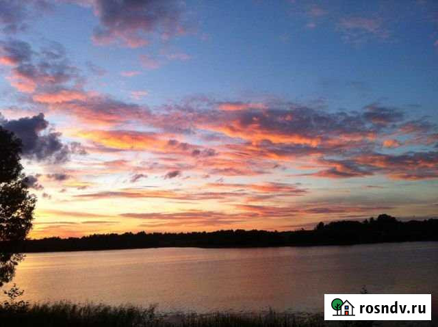 Дача 100 м² на участке 50 сот. на продажу в Новосокольниках Новосокольники - изображение 1